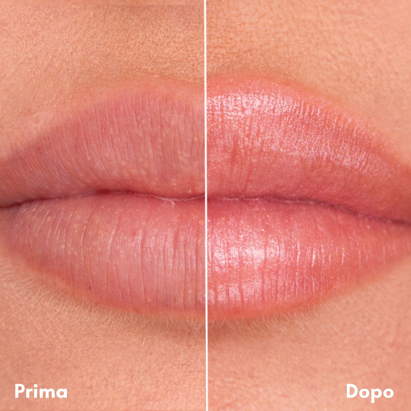 Illuminante Oro + Blush Rosa