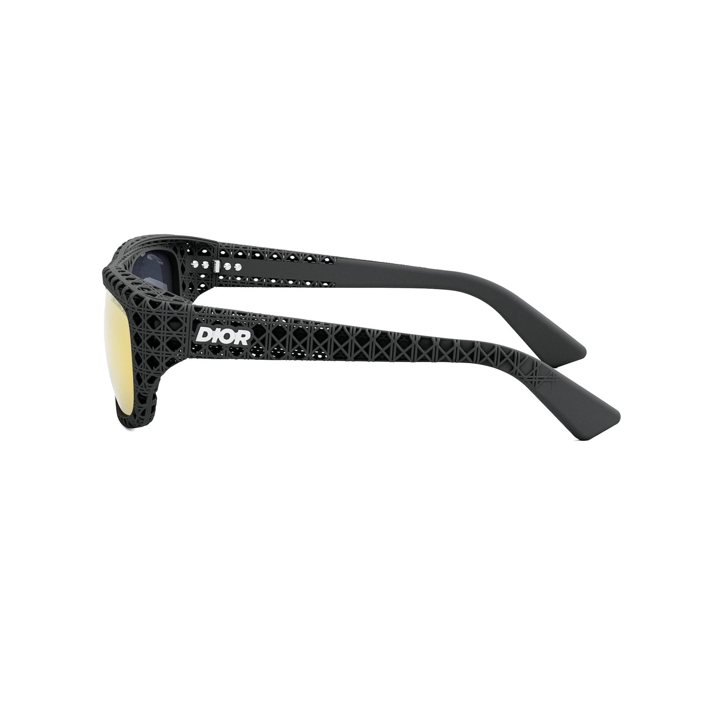 Dior3D S1I DIOR