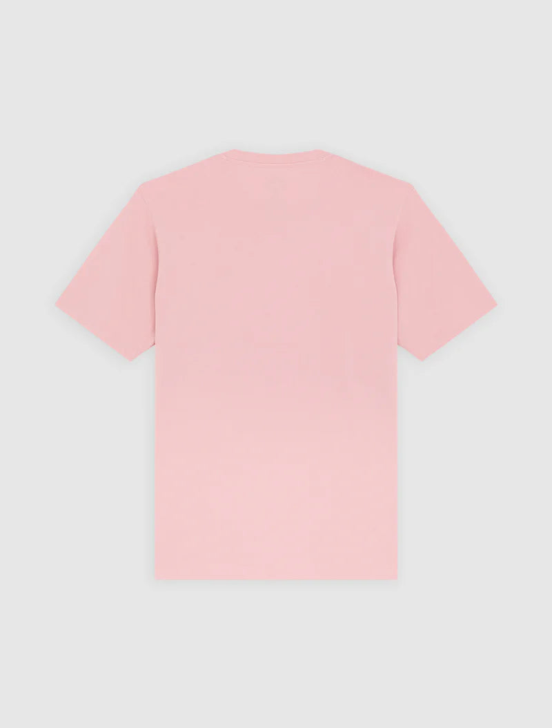 Dickies T-shirt leggera Mapleton uomo dk0a4xdbl471 rosa