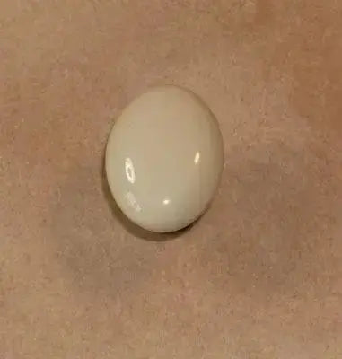 OVALINO CERAMICA CHAMPAGNE