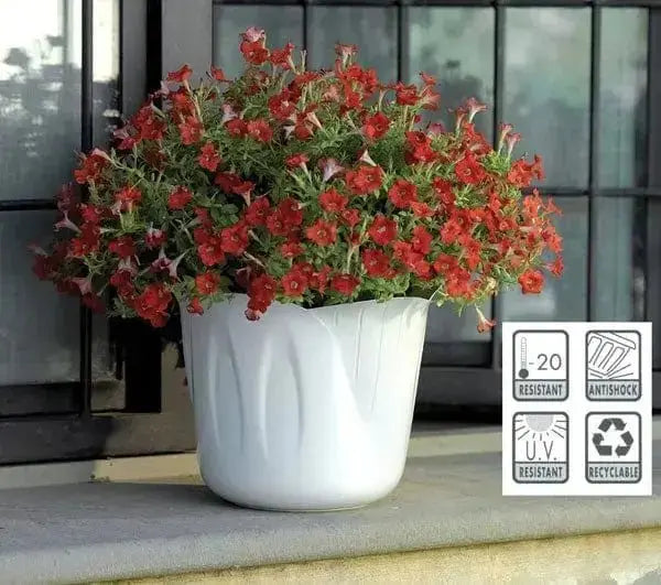 Blumengefäß für Mimosen, weiß, verschiedene Größen