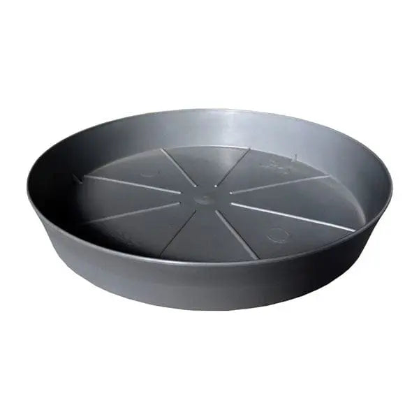 Sottovaso roton.insci antr.smoke diverse misure