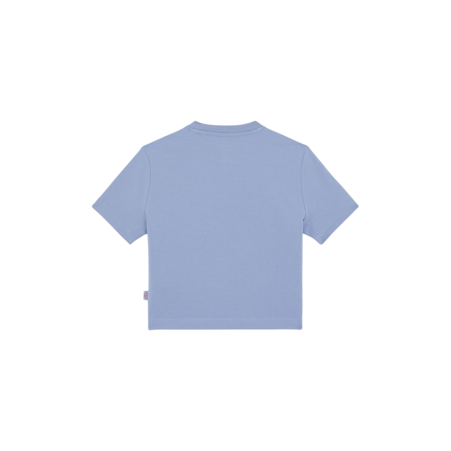 Dickies maglietta manica corta da donna Maple Valley DK0A4XPOK371 celeste