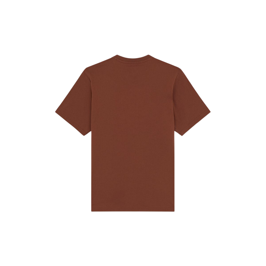 Dickies maglietta manica corta da uomo Mapleton DK0A4XDBK471 cappuccino