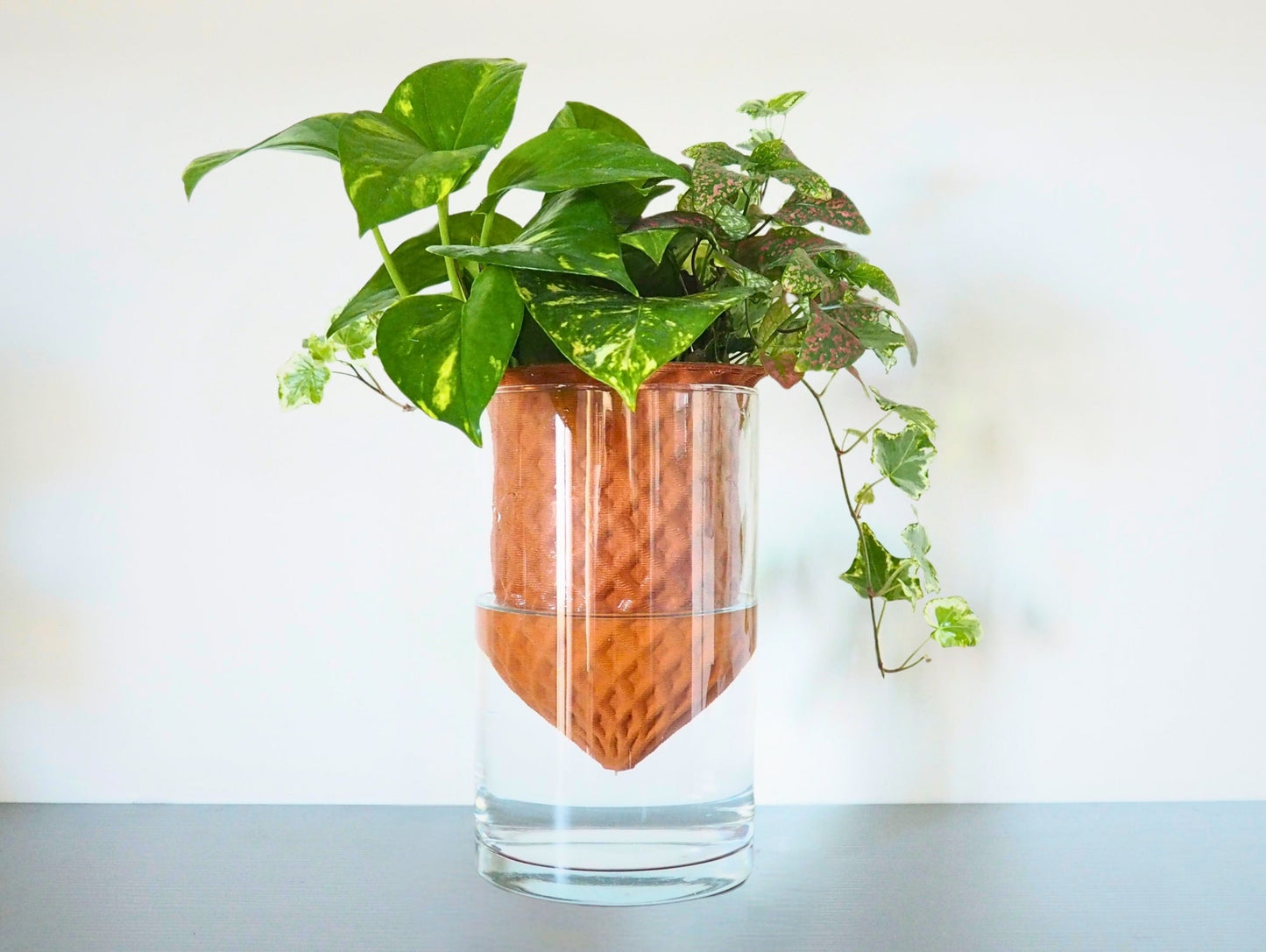 Vaso Darcy 3D L
