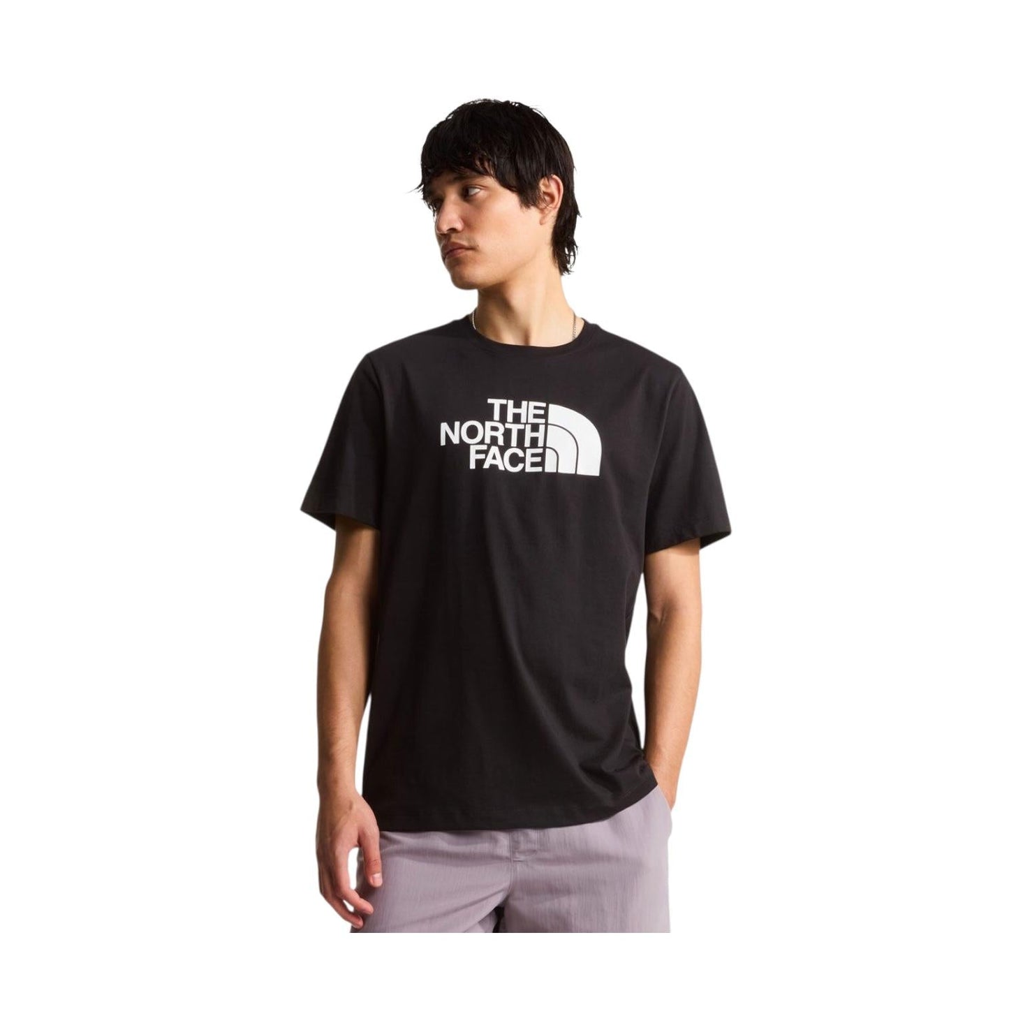 The North Face T-shirt Evolution Half Dome NF0A8B6JKY4 Nero Uomo