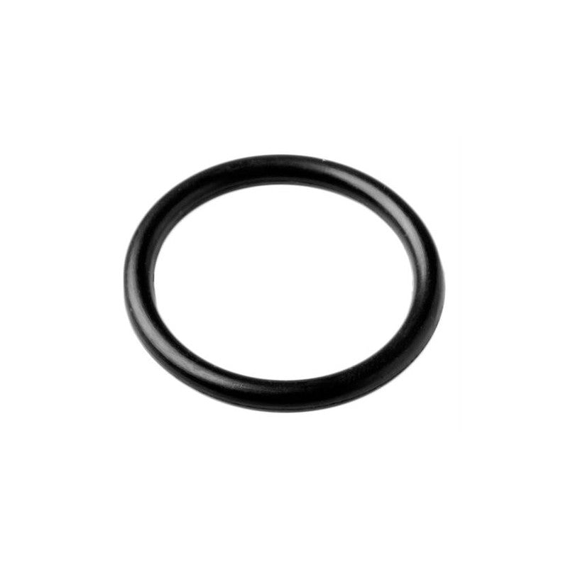 Jabsco O-ring Pistone 29017-1000