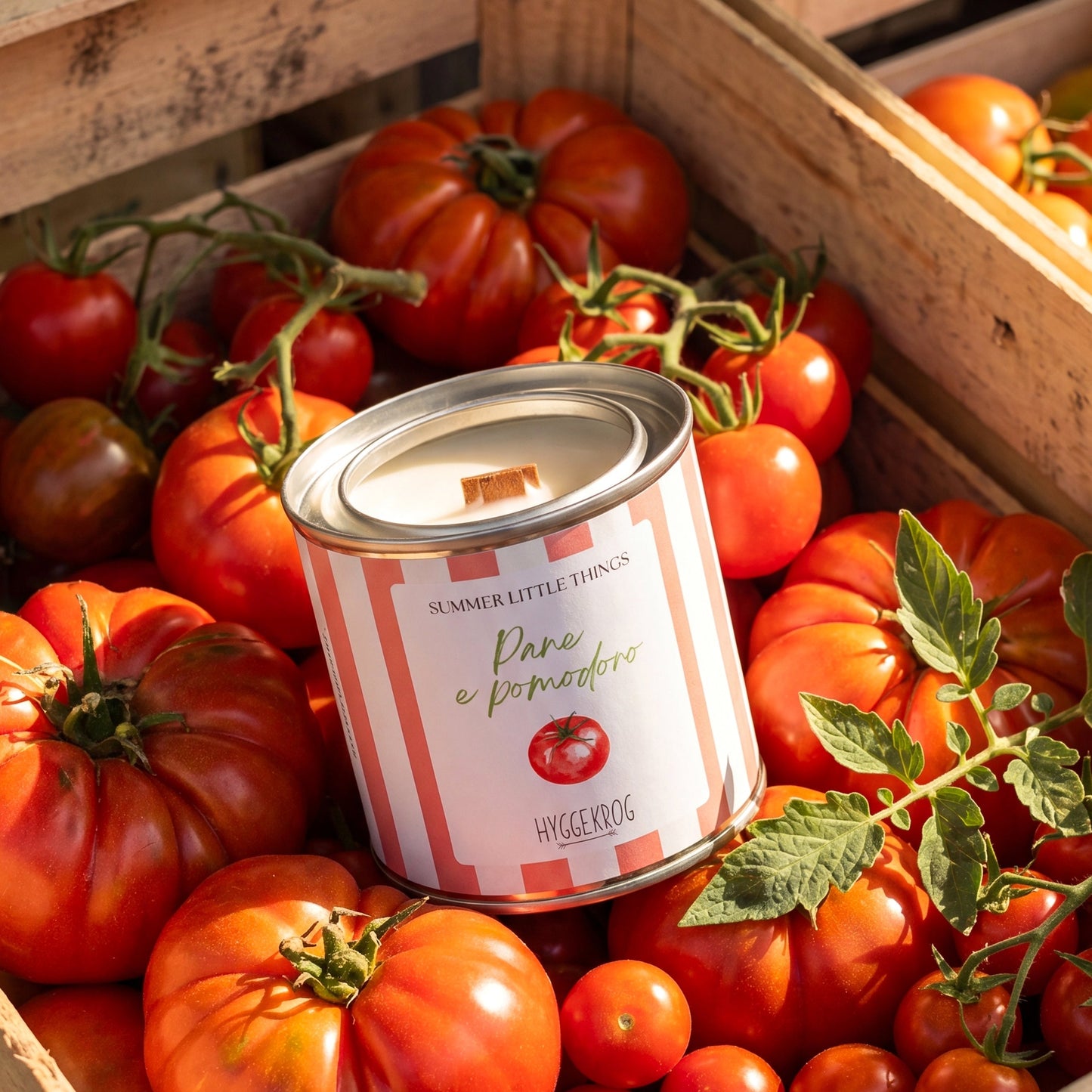 Pane e Pomodoro | pomodorini e basilico