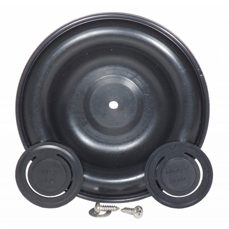 Jabsco Pompa Bulkhead 45 L/m