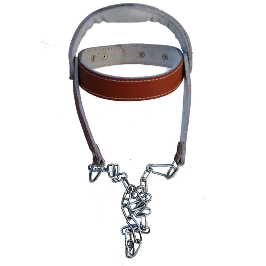 Cintura palestra allenamento collo imbracatura imbottita testa Head Harness catena metallo