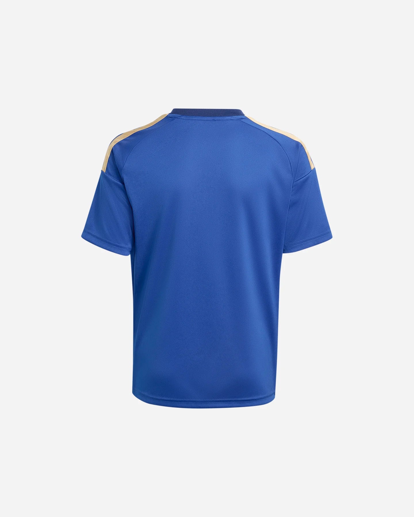 Adidas Maglia Italia 26 Home Fan FIGC JY7589 Azzurra Junior