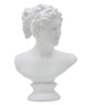 Elegant Roman Woman Sculpture 21.5x14.5x34 cm