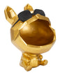 Funny dog-shaped storage box, 17x23.5 cm