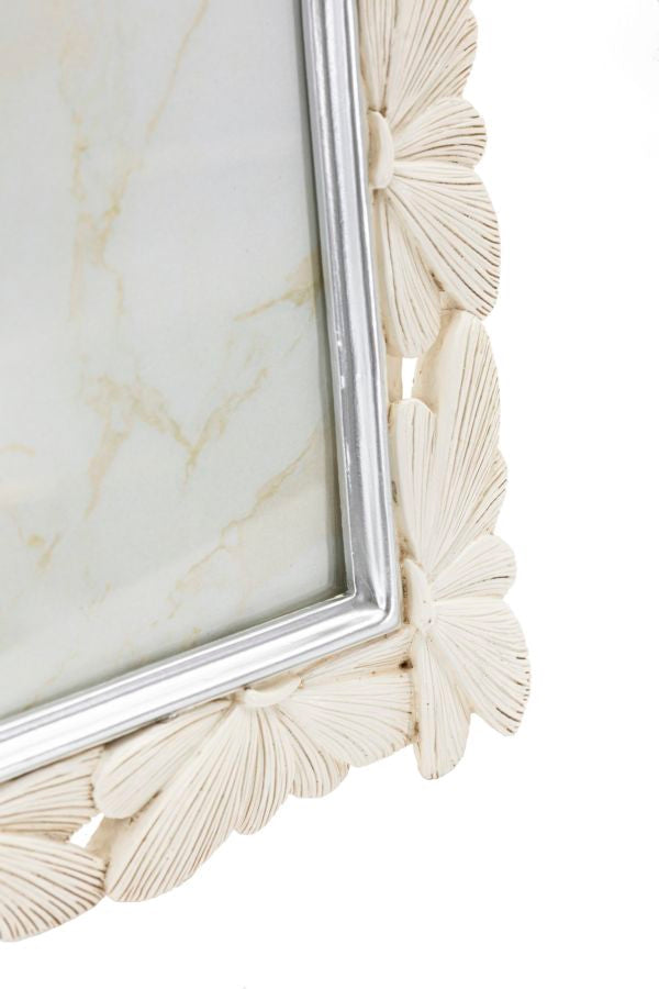 Cornice Butterfly Cm 28X2X33,3 Con Misura Interna Cm 20X25