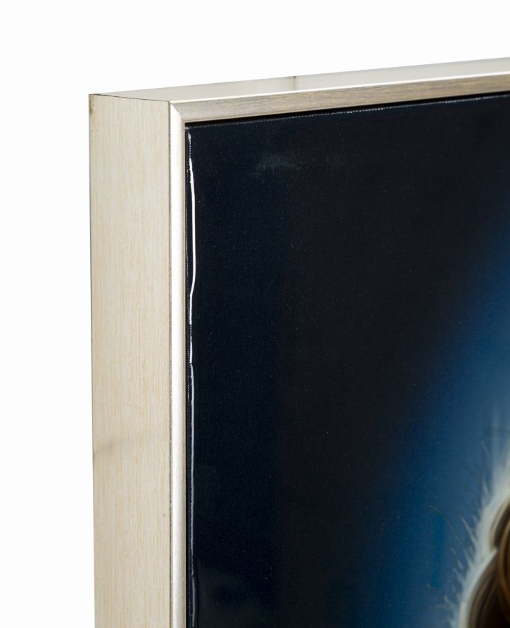 Dipinto Su Tela Laccato Isabel C/Cornice 72X4X102 Elegante