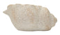 Shell Shaped Vase Irregular Sand And Textured For Indoors And Outdoors, Measures 35x23x18 Cm, Opening 17 Cm
