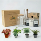 Complete DIY Terrarium Kit - Create Your Own Elegant Mini Garden