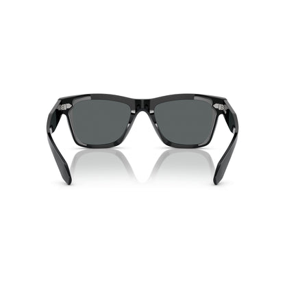 N.04 SUN OV 5552SU OLIVER PEOPLES
