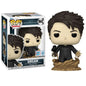 Funko Pop! TV The Sandman (1642) The Dream 2024 Fall Convention Limited Edition