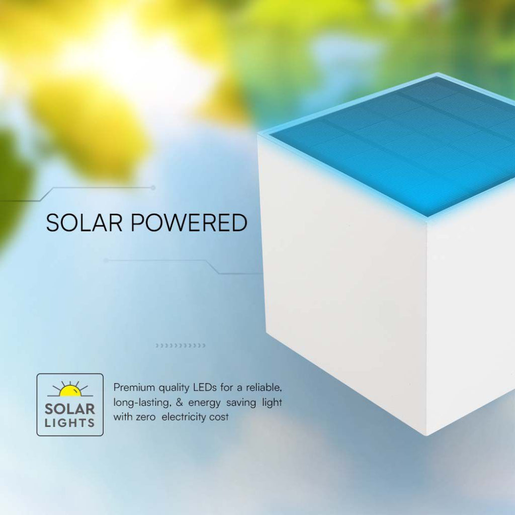Lampada LED da Giardino Solare 9W con Sensore Crepuscolare IP65