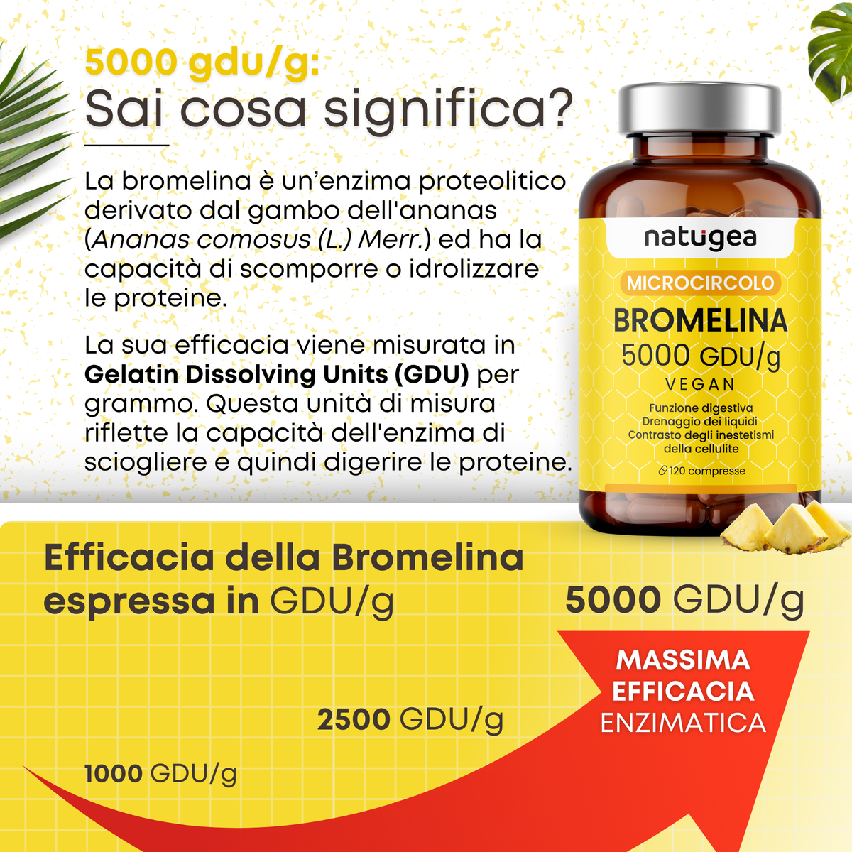 Bromelina 5000 GDU/g da Ananas – Drenaggio Liquidi, Microcircolazione e Cellulite – 120 Compresse Vegane