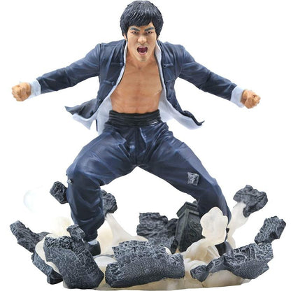 DIAMOND SELECT GALLERY TOYS STATUE BRUCE LEE „ERDE“ ERDFIGUR 23cm DIORAMA