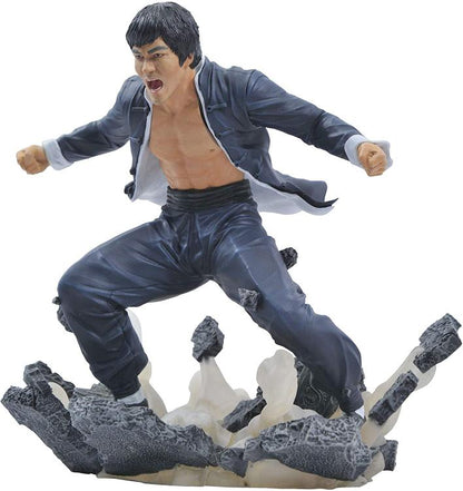 DIAMOND SELECT GALLERY TOYS STATUE BRUCE LEE „ERDE“ ERDFIGUR 23cm DIORAMA