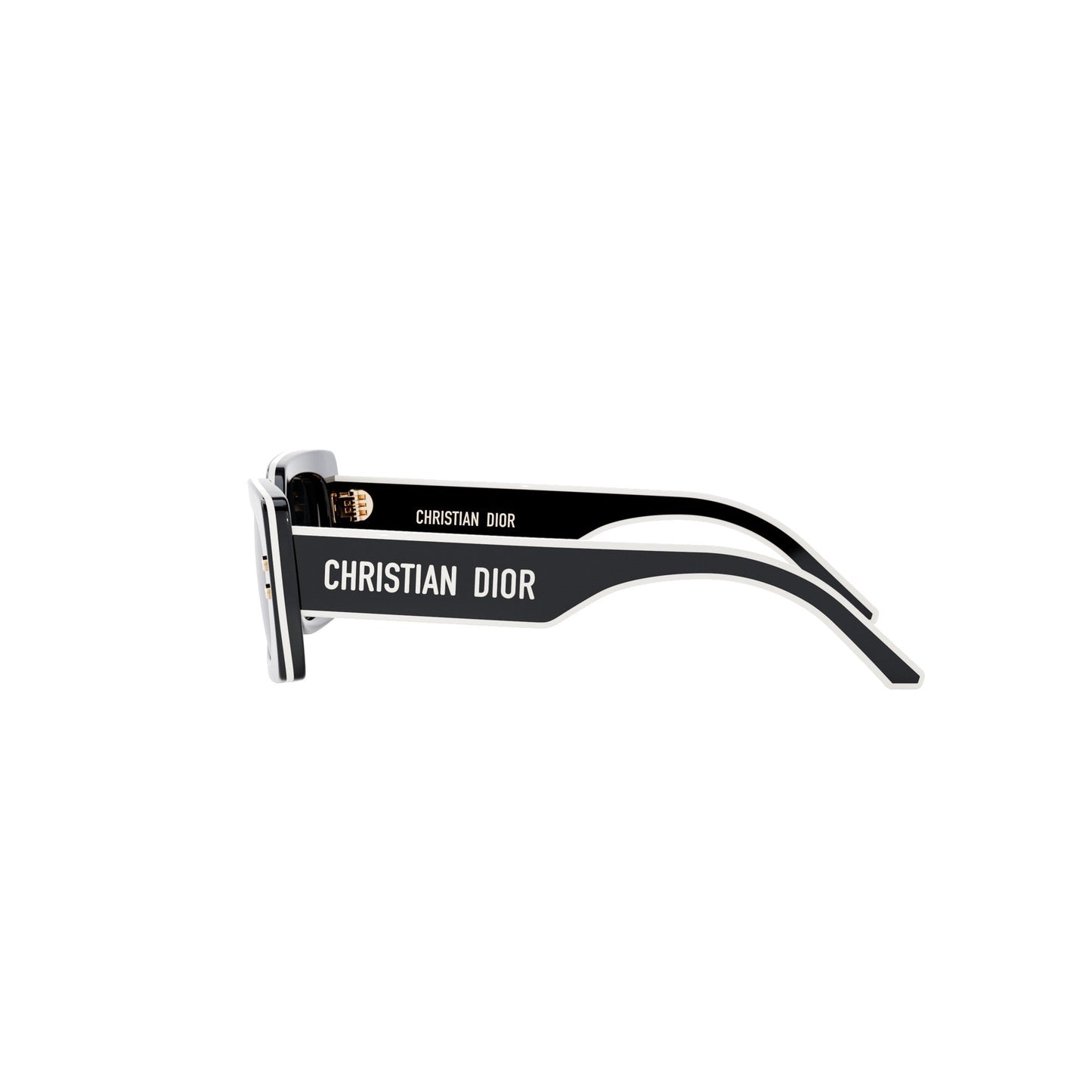 DiorPacific S1U DIOR