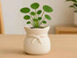 CHIC KNOT: Vaso-Planter con Tocco Scandinavo Home Decor