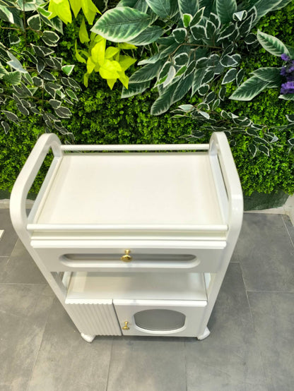 Rollwagen für Schönheitsstudio, mit Rollen und 1 Schublade, 1 durchsichtiges Schränkchen, weißer Rollwagen, Rollwagen für Schönheitssalon, moderner Arbeitswagen für Badezimmer, Wohnzimmer