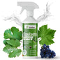 Horsetail Spray 500 Ml | Ready to Use | Natural Protective Preventive | Defense Against Powdery Mildew and Downy Mildew | for Vegetable Gardens, Orchards and Organic Crops