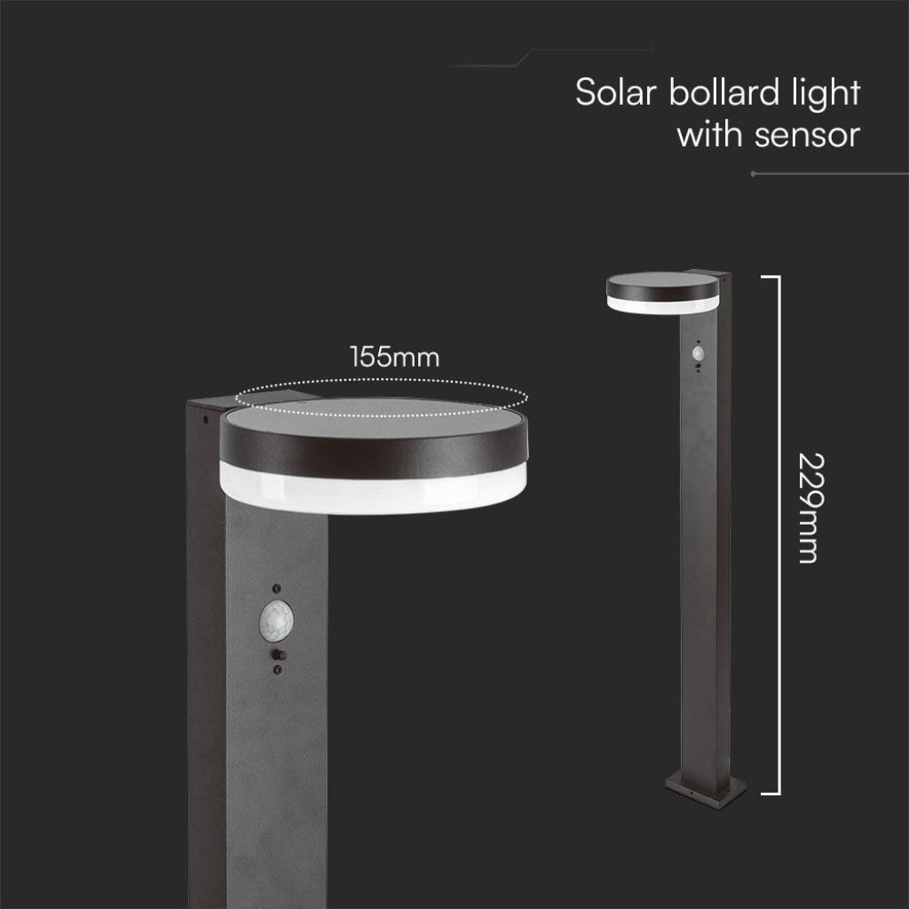 Piantana Solare LED 5.5W con Sensore PIR IP54 Luce Calda 3000K