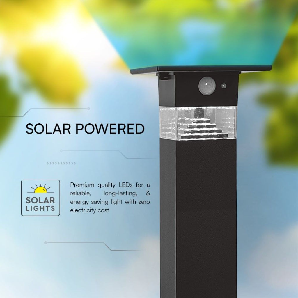 Solar-LED-Gartenstandleuchte 3W mit PIR-Sensor 3000K IP54