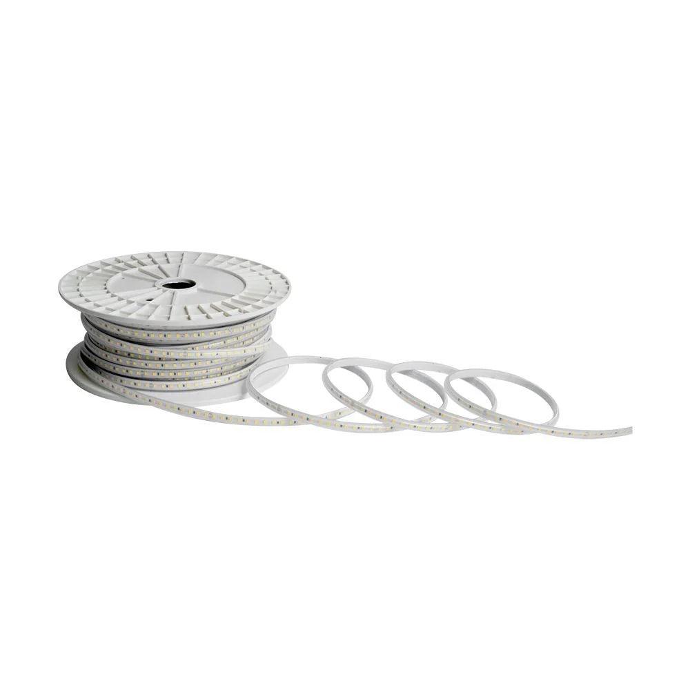 Strip LED 220V SMD2835 105 lm/m 50 m 120 LED/m 6500K IP65 10 mm