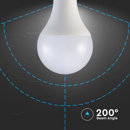Lampadina LED E27 20W A80 6500K 120lm/W V-TAC Luce Fredda