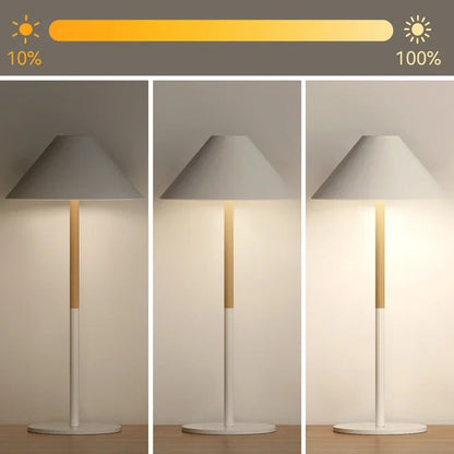 Lampada Da Tavolo Led Controllo Soft Touch Ricaricabile Hotel Ristorante Bianca