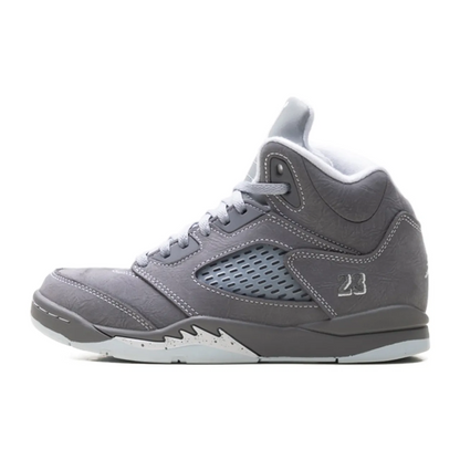 Jordan 5 Retro Wolf Grey
