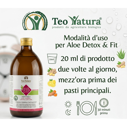 Detox & Fit – Succo Bio Aloe Vera, Zenzero, Limone e Curcuma | Depurativo e Digestivo
