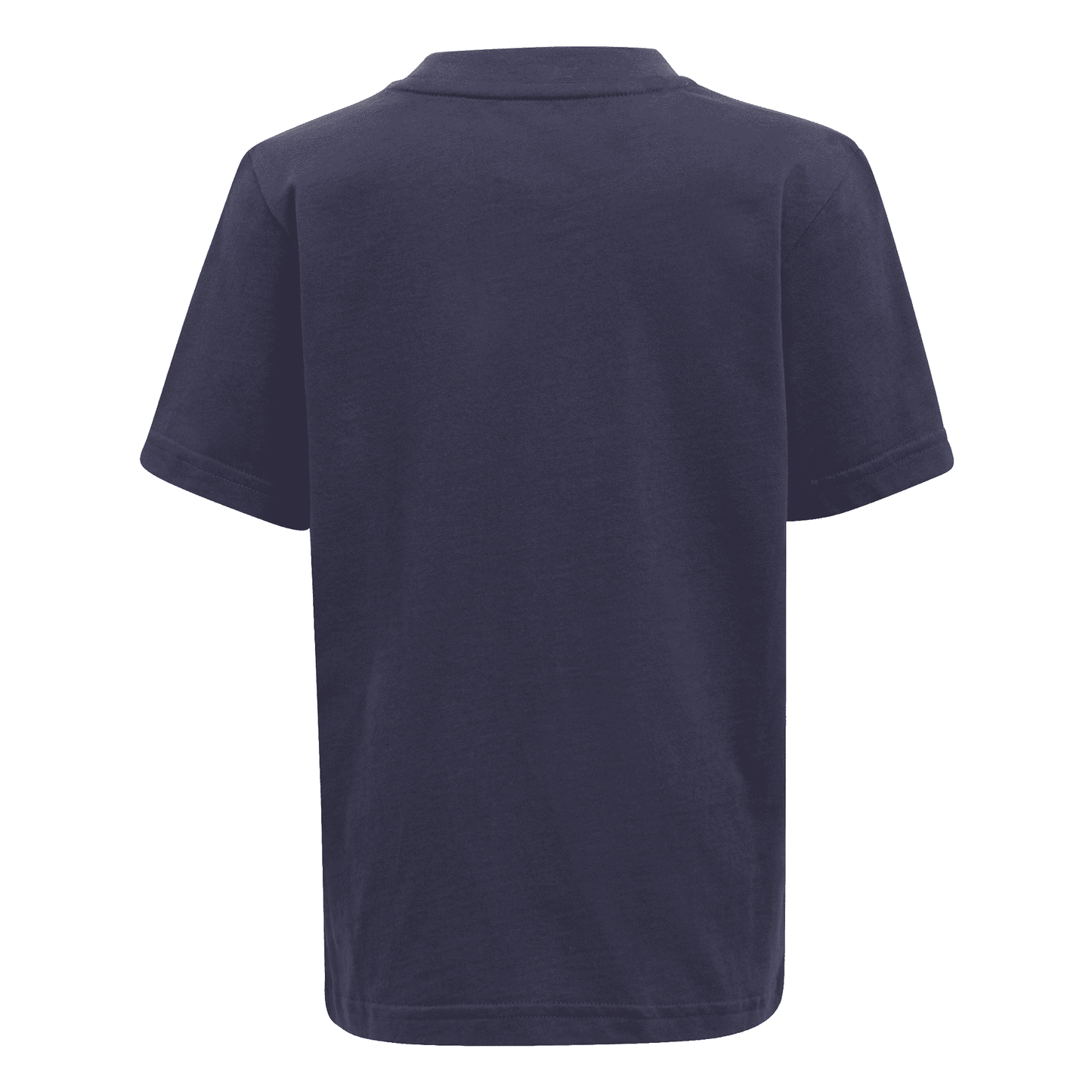 Adidas completo da ragazzo t-shirt e pantaloncino HC9445 blu-bianco