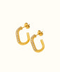 Sparkling Earring