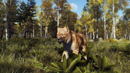 Way Of The Hunter Wild Expeditions PS5 Untertitel IT Playstation 5 Videospiel Cover EU