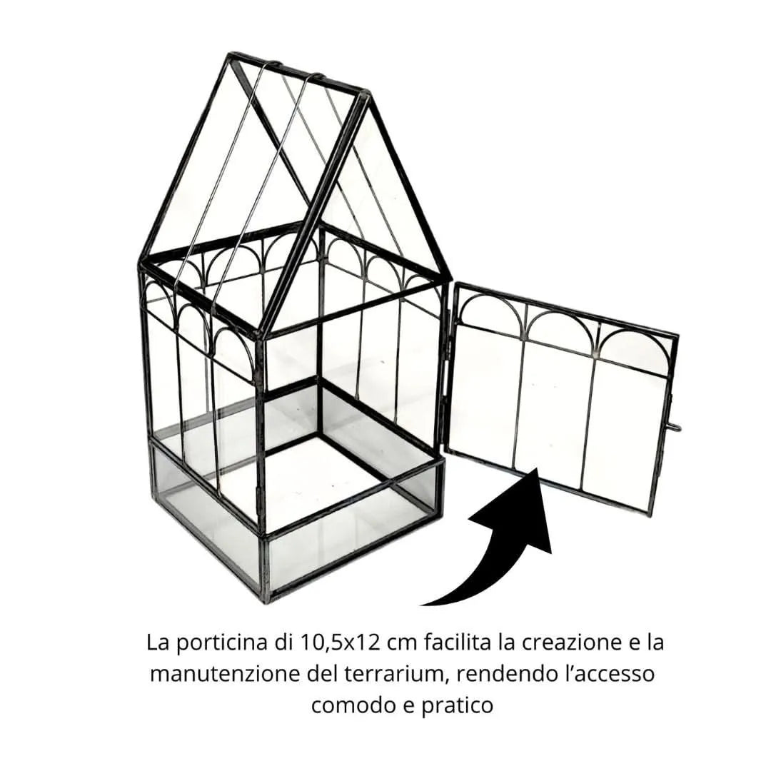 Geometrisches Terrarium-Bastelset Jade Sukkulenten