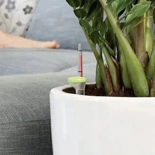 Acquaflora mini 0,7lt für Töpfe 25/35