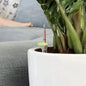 Acquaflora mini 0.7L for pots 25/35