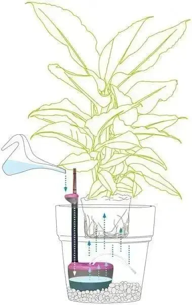 Acquaflora mini 0,7lt für Töpfe 25/35