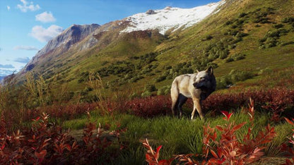 Way Of The Hunter Wild Expeditions PS5 Untertitel IT Playstation 5 Videospiel Cover EU