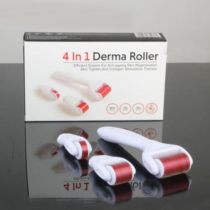 DERMA ROLLER 4 IN 1 PER IL CORPO VISO OCCHIO INTERCAMBIABILI SKINCARE AGOPUNTURA