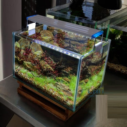 Plafoniera Led Luce Bianca Blu Lampada Per Acquario Barra Da 50 A 60Cm Slim D133