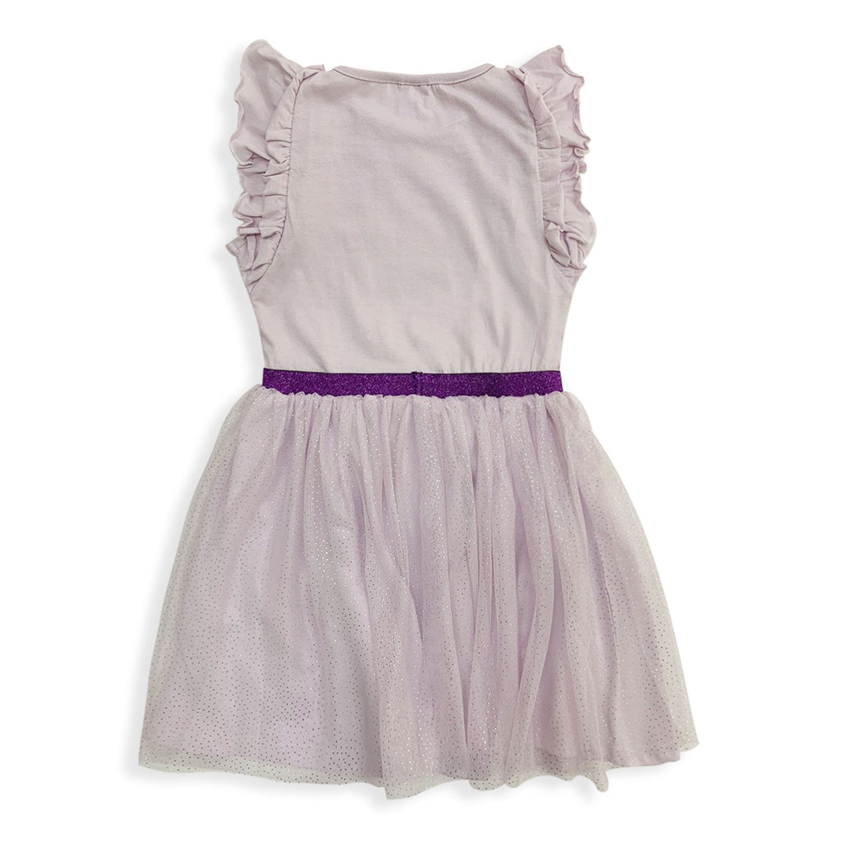 Girls' Disney Frozen Printed Dress with Tulle Glitter Skirt 5439