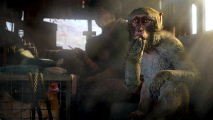 Far Cry 4 Ps4 Gioco Playstation 4 Videogioco Italiano Sigillato Farcry IV
